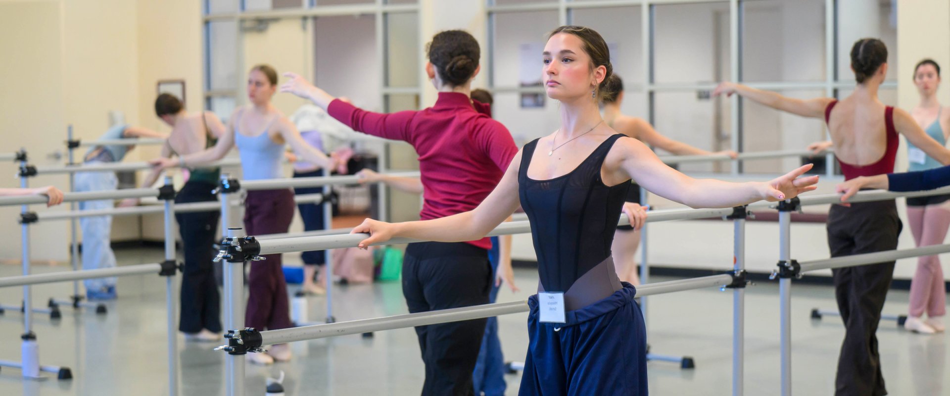 Summer Intensive for Pre-Professional Students: Age 12-20