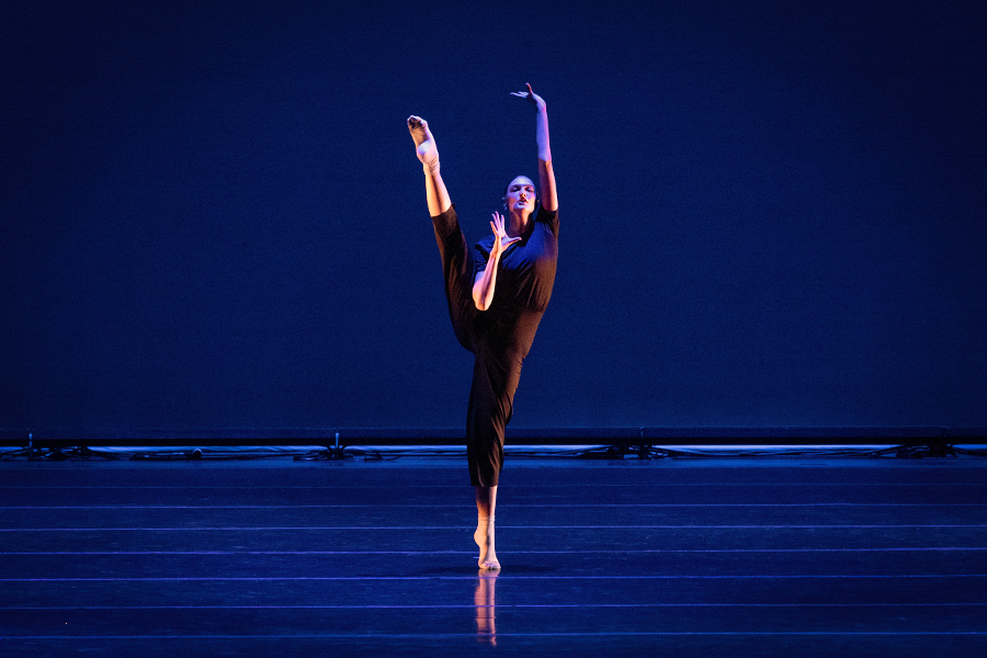 snbt-perfomance-seven-900x600.
