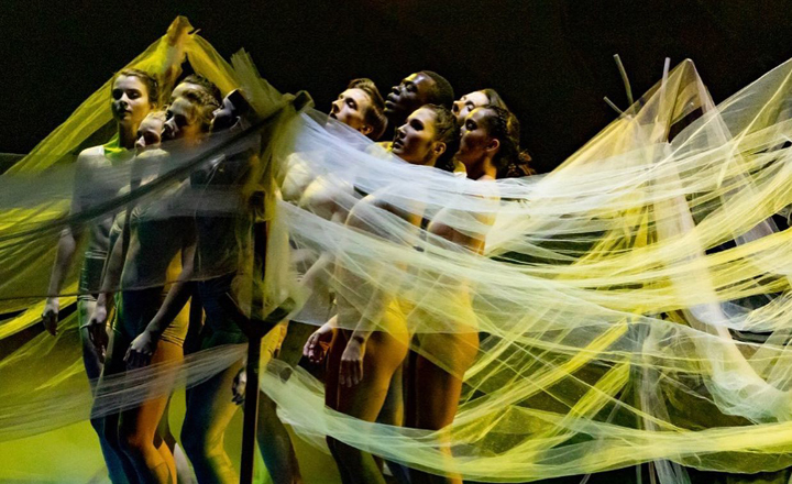Photo Album: A Choreographers' Showcase
